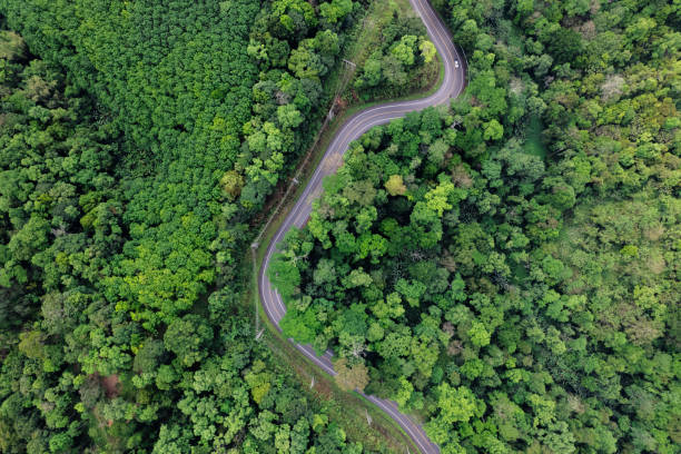 istock road and green trees from above in the summer forest 1388694012