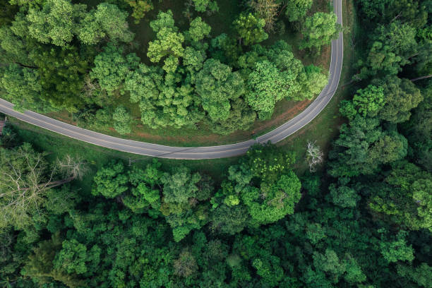 istock road and green trees from above in the summer forest 1388694013