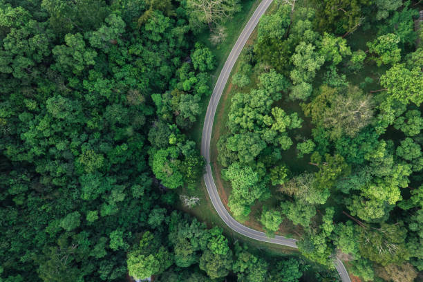 istock road and green trees from above in the summer forest 1388694017