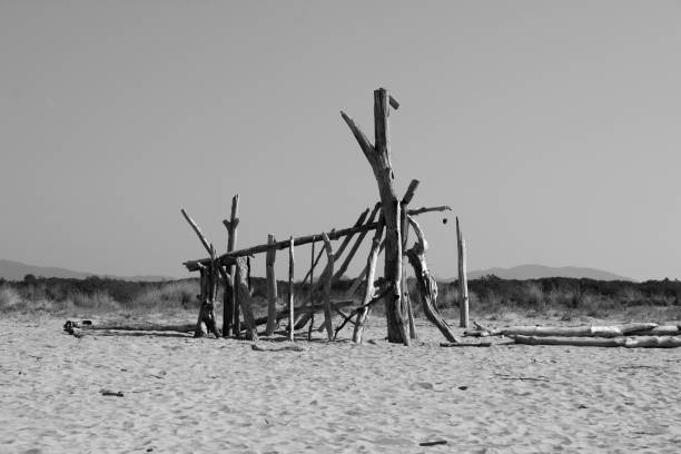 Construction works at Torre del Lago Beach