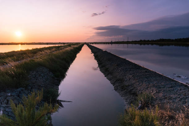 istock Salterns of Cervia 1388709792