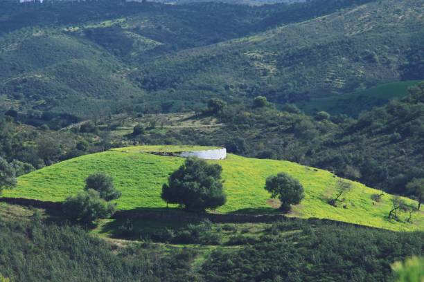 It was located on top of a windy hill in the town of Sanlúcar de Guadiana, Andalusia, Spain.
