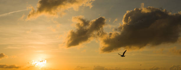 istock Panorama of sunset 1388712699