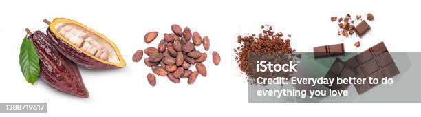 Set Of Cocoa Fruit Cacao Beans Cocoa Powder And Chocolate Bar Isolated On White Stock Photo - Download Image Now