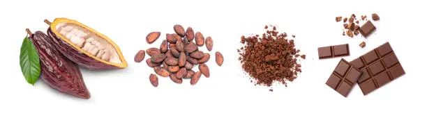 Set of cocoa fruit, cacao beans, cocoa powder and chocolate bar isolated on white background. Top view. Flat lay.