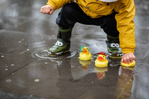 istock Child playing with rubber ducks in water puddle 1388724293
