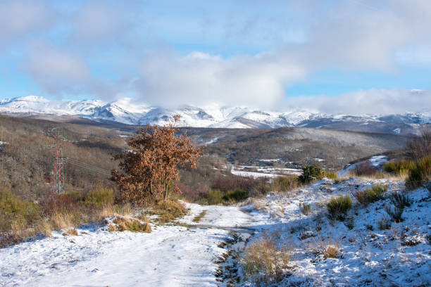 a snowy mountain path on a sunny day