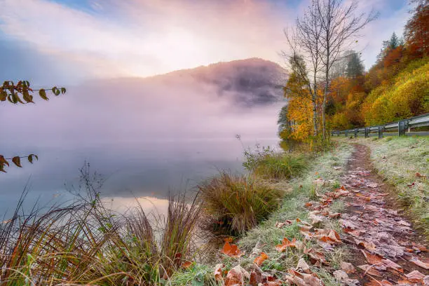 Outstanding autumn scene of foggy and sunny morning on Almsee lake. Poppular travell destination. Location: Almsee lake, Almtal valley, Salzkammergut region, Upper Austria, Austria, Europe.