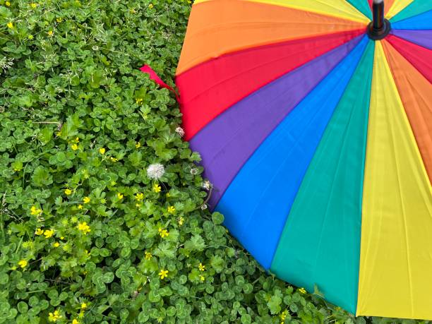 istock Open colored umbrella on grass lgtbi background 1388728070