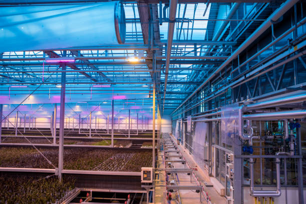 The inside of a modernised, clean, organised working orchid greenhouse