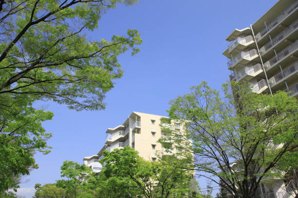 istock Mansion and fresh green leaves 1388730404