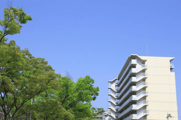 istock Mansion and fresh green leaves 1388730484