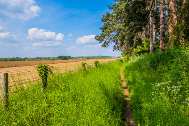 istock footpath rural warwickshire countryside uk summer grassland 1388730819