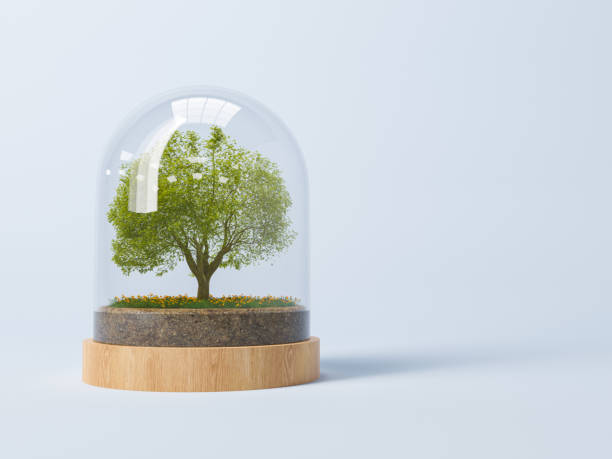 3d render of green tree in glass dome