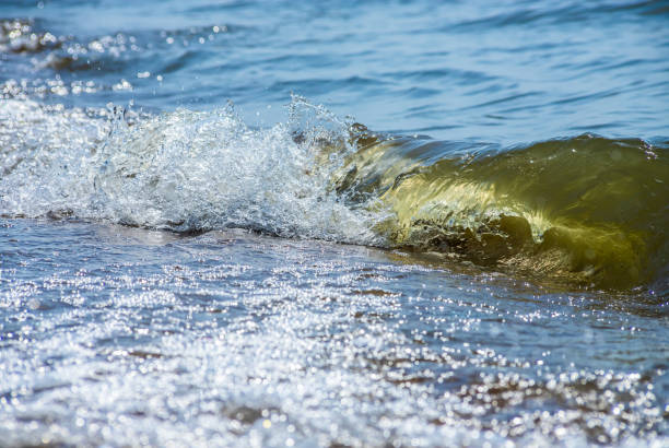 Sea wave with spray and foam near the shore.