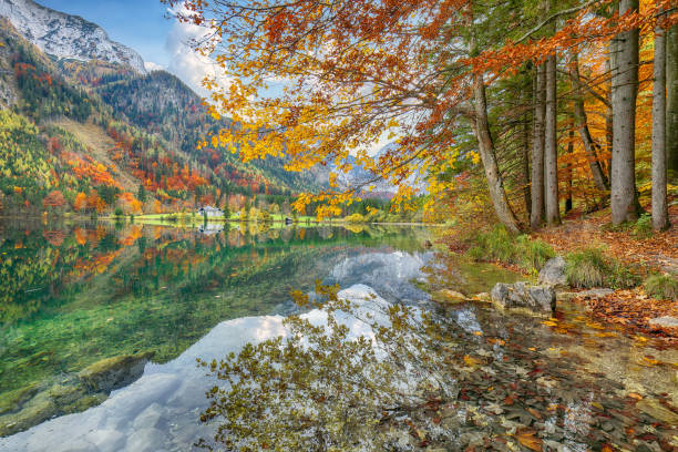 istock Fabulous autumn scene of Vorderer Langbathsee lake. 1388733655
