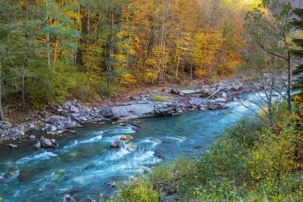 River Belaya flowing in the rocks in Adygea, Russia