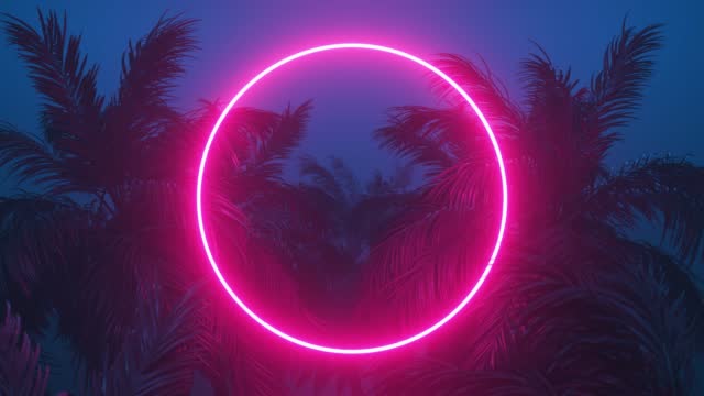 Retrowave glowing rectangle frame appears in the tropical palm tree
