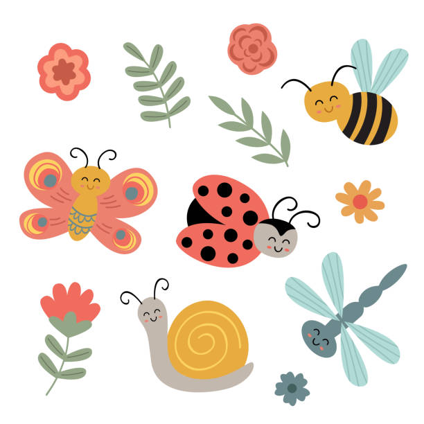 illustrazioni stock, clip art, cartoni animati e icone di tendenza di set di insetti e fiori carini isolati - ladybug