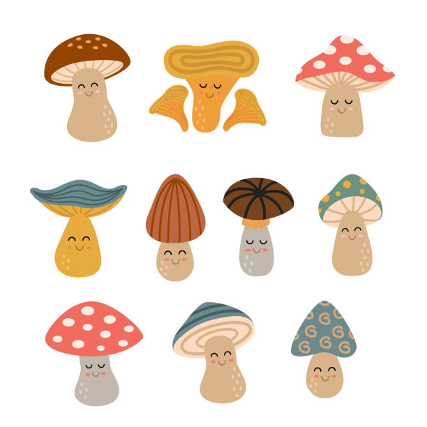 set of isolated cute mushrooms set of isolated cute mushrooms cute mushrooms stock illustrations