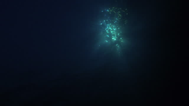 Undersea at night POV ocean only background with moonlight