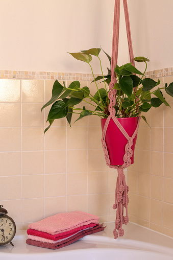 close view of pink macrame plant hanger in bathroom corner