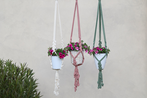 three homemade plant hangers in different colors against grey wall