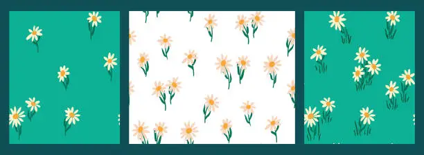 Vector illustration of A set of seamless patterns with a simple floral composition of daisies. Vector.