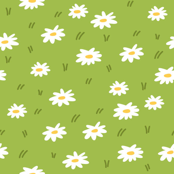 Green pattern with summer daisies Green pattern with summer daisies. Nature doodle hand drawn flat cartoon background nursery vector digital paper textile fabric wallpaper daisy chain drawing stock illustrations