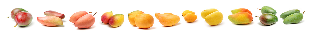 mangos on a white background