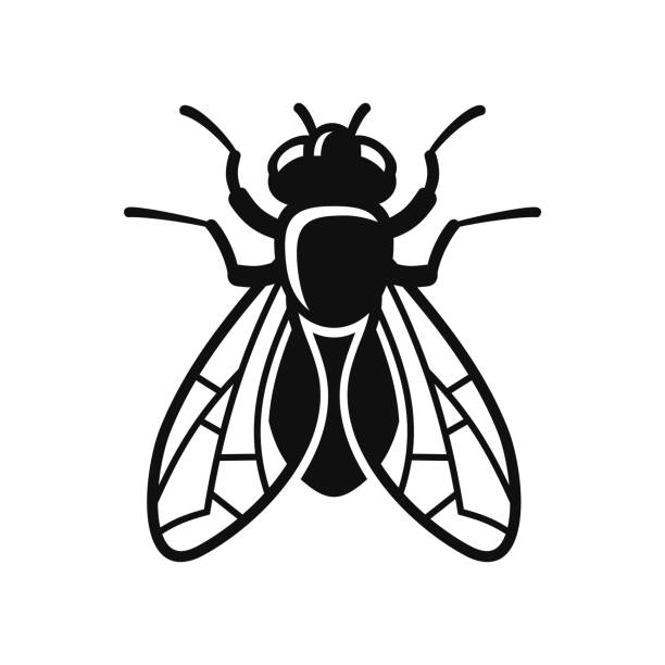 ilustrações de stock, clip art, desenhos animados e ícones de fly icon silhouette on white background. vector - mosca