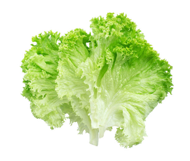 istock green lettuce leaves isolated on white background 1388751593