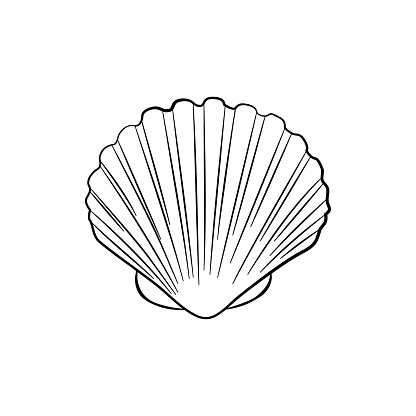 Sea shell, scallop vector sketch illustration. Seashell outline icon. Clam doodle. Scallop closed shell drawing