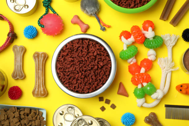 istock Pet accessories on yellow background, top view 1388752561