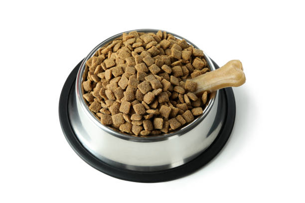 istock Pet bowl with feed isolated on white background 1388752667