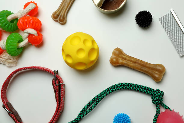 istock Pet accessories on white background, top view 1388753851