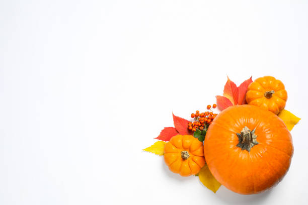 istock Flat lay composition with ripe pumpkins and autumn leaves on white background, space for text. Happy Thanksgiving day 1388753857