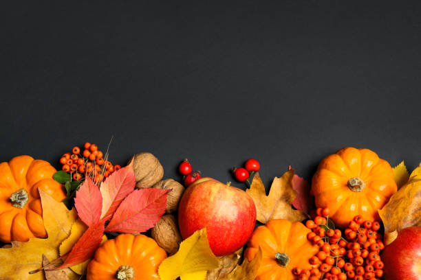 黒い背景に熟したカボチャと紅葉のあるフラットレイコンポジション、テキスト用のスペース。ハッピー感謝の日 - color image thanksgiving photography harvest festival ストックフォトと画像