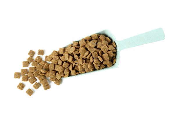 istock Scoop with animal feed isolated on white background 1388753895