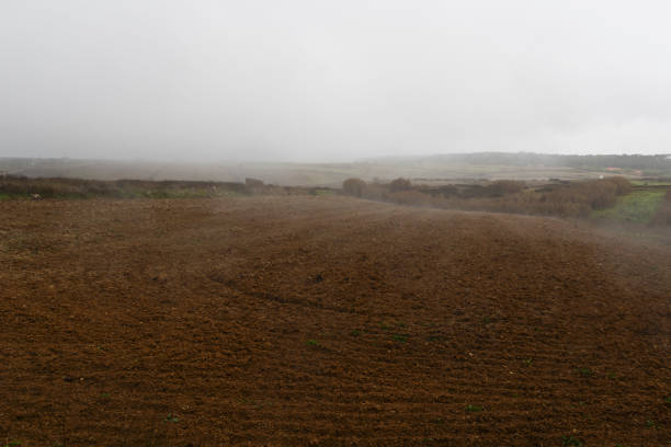 istock Portuguese Landscape 1388754161