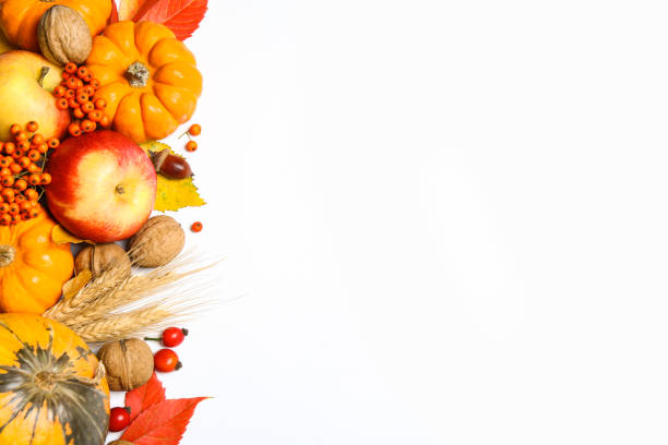 Flat lay composition with ripe pumpkins and autumn leaves on white background, space for text. Happy Thanksgiving day