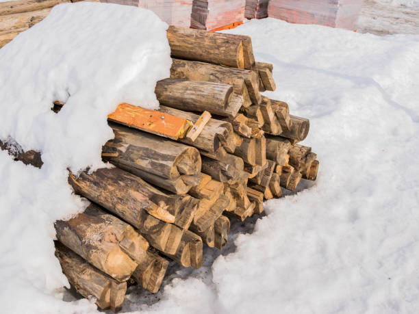 istock Woodpile in the snow 1388755187