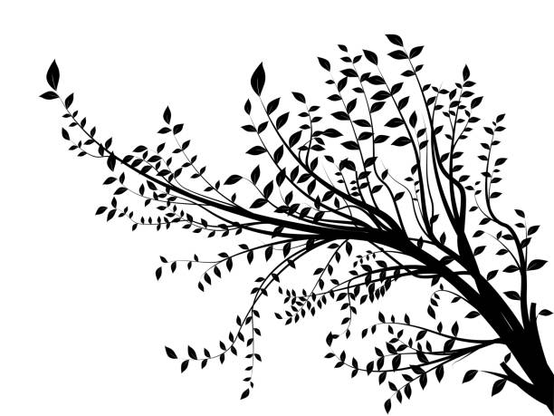 isolierte baumsilhouette auf weißem hintergrund - tree bird flower pattern stock-grafiken, -clipart, -cartoons und -symbole