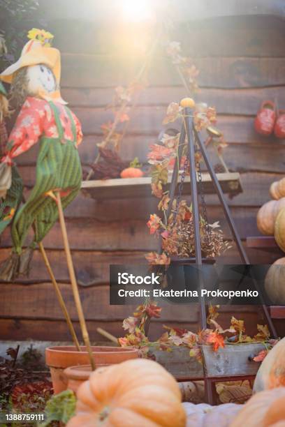 Close Up Photo Of Scarecrow With Sunlight Pumpkin And Other Halloween Decorations Stock Photo - Download Image Now