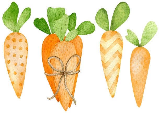 ilustrações, clipart, desenhos animados e ícones de ilustração de aquarela de cenouras laranjas estilo desenho animado. feliz símbolo pintado à mão na páscoa. cenouras para o coelhinho da páscoa. - vegetarian food creativity vegetable humor