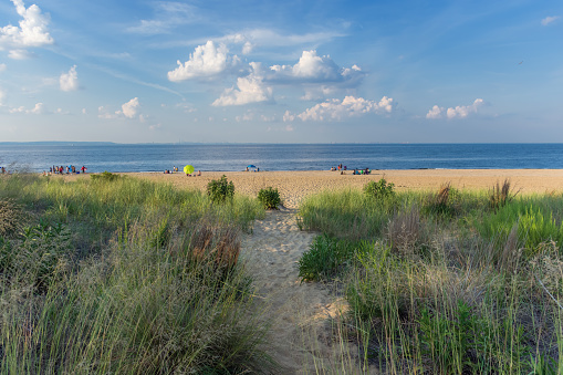 Sand fences line both sides of a path leading through a low dune to a sandy beach on Cape Cod