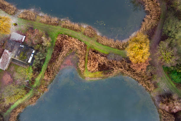 istock Fish ponds - aerial view 1388767550