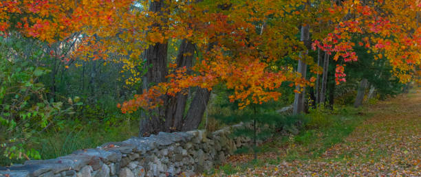 istock Old Stone wall with Fall leaf colors-Rural New Hampshire 1388768464