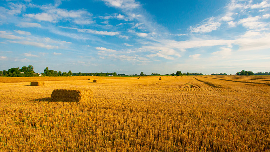 Pacas de paja después de la cosecha de trigo-Condado de Fulton, Indiana photo