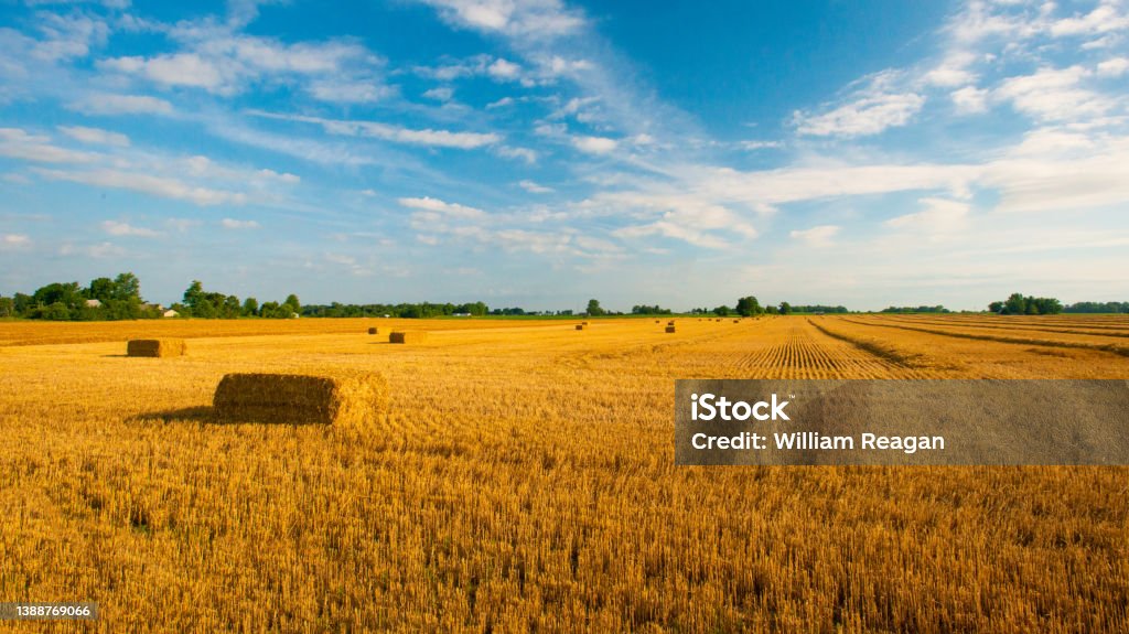 Straw Bales after the wheat harvest-Fulton County,Indiana Midwest USA Stock Photo